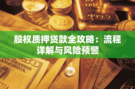 武汉股权质押贷款全攻略：流程详解与风险预警
