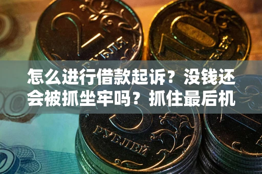 武汉怎么进行借款起诉？没钱还会被抓坐牢吗？抓住最后机会！