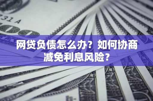 武汉网贷负债怎么办？如何协商减免利息风险？