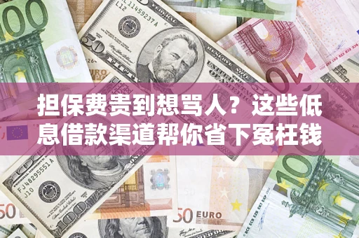 武汉担保费贵到想骂人？这些低息借款渠道帮你省下冤枉钱