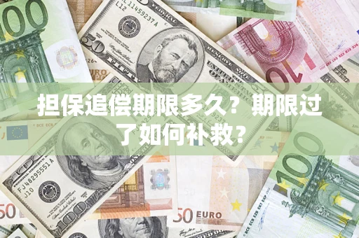 武汉担保追偿期限多久？期限过了如何补救？