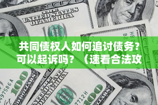 武汉共同债权人如何追讨债务？可以起诉吗？（速看合法攻略）