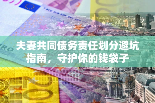 武汉夫妻共同债务责任划分避坑指南，守护你的钱袋子