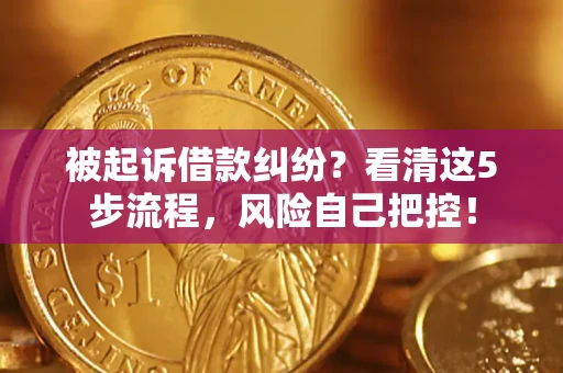 武汉被起诉借款纠纷？看清这5步流程，风险自己把控！