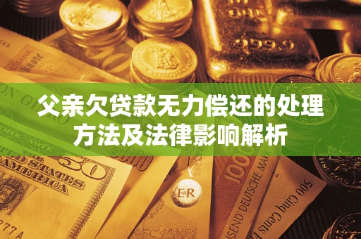 武汉父亲欠贷款无力偿还的处理方法及法律影响解析